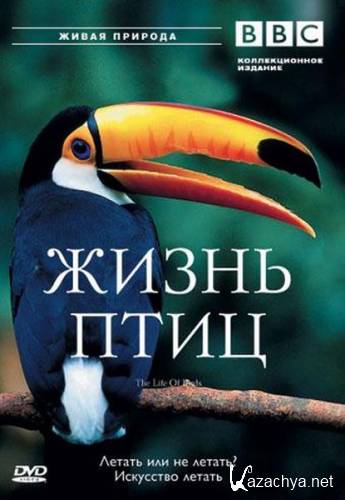 BBC:   / The Life of Birds (1998) DVDRip